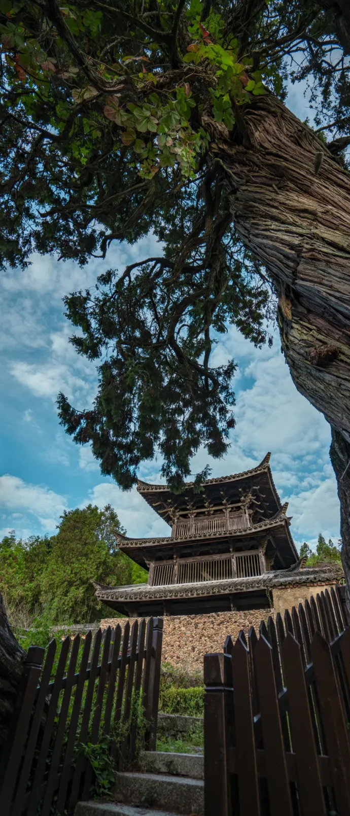 跟着"悟空"游丽水 | "深山寻古迹":云中大漈时思寺