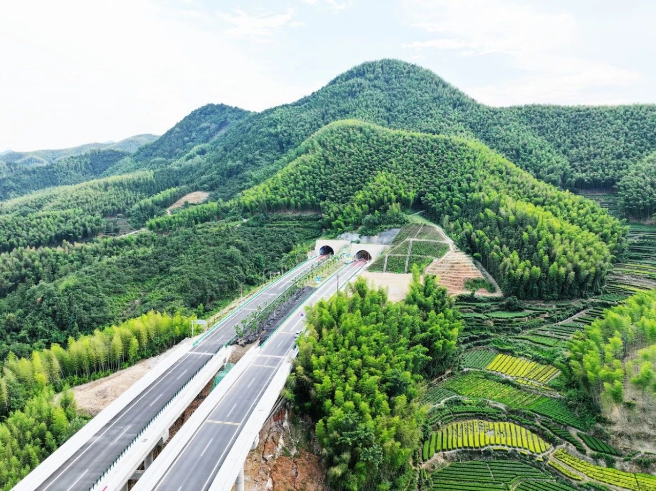 DJI_20240809163804_0269_D.JPG