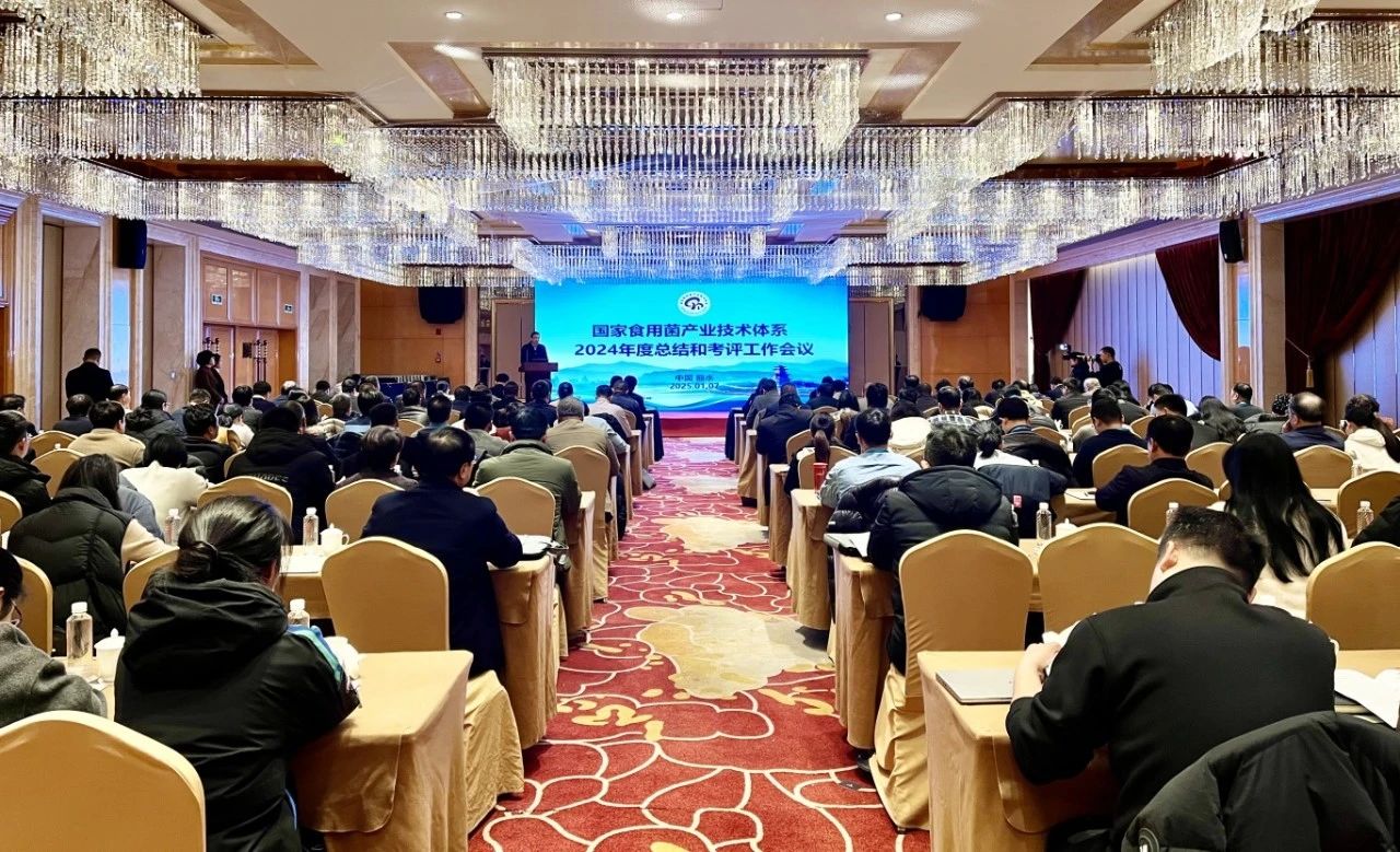 微信图片_20250108075048.jpg