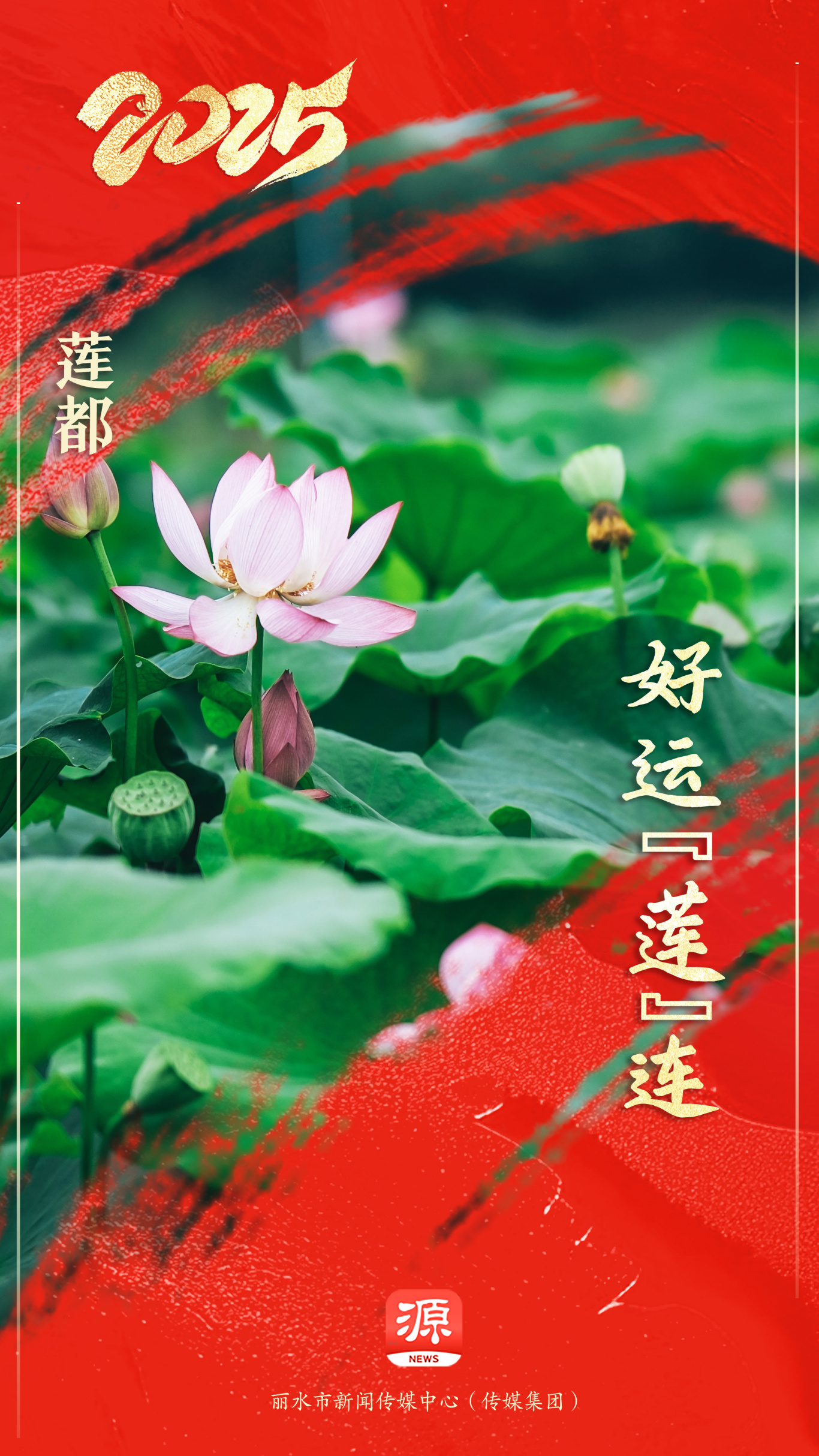 莲都 拷贝.jpg