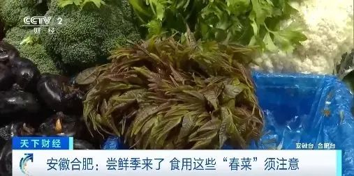 &ldquo;春菜&rdquo;陆续上市！医生提醒：这样食用，或有致癌风险