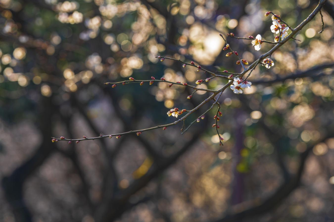5182d28f71fafa0c5d0a11933186a1f3.png