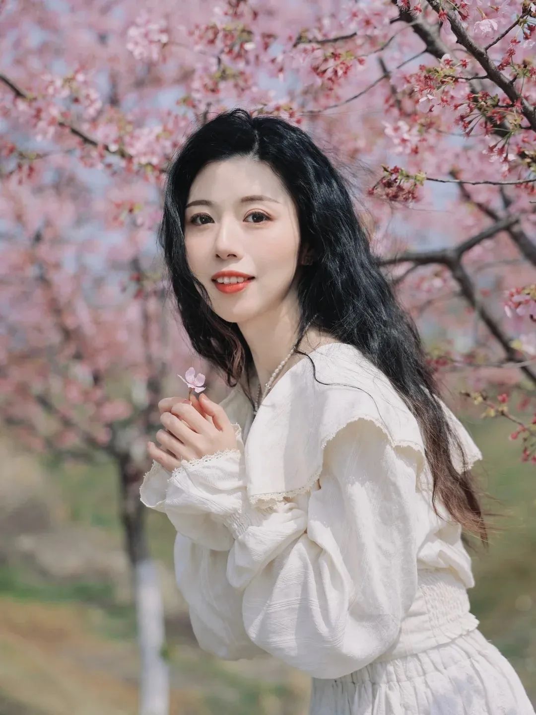 丽水樱花|是风动还是心动_1_笙小沫_来自小红书网页版.jpg