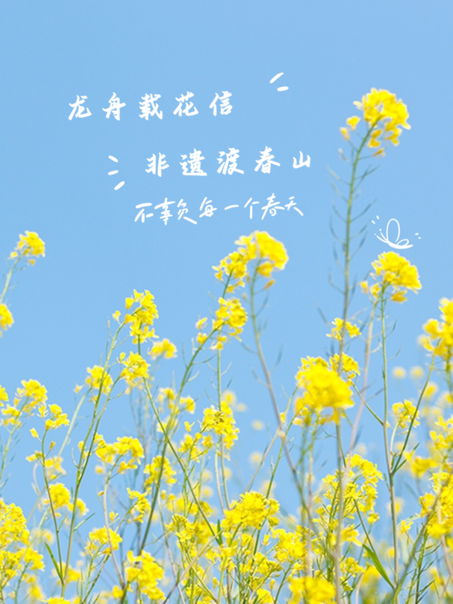 天空_云朵生活分享简约风plog模板.png