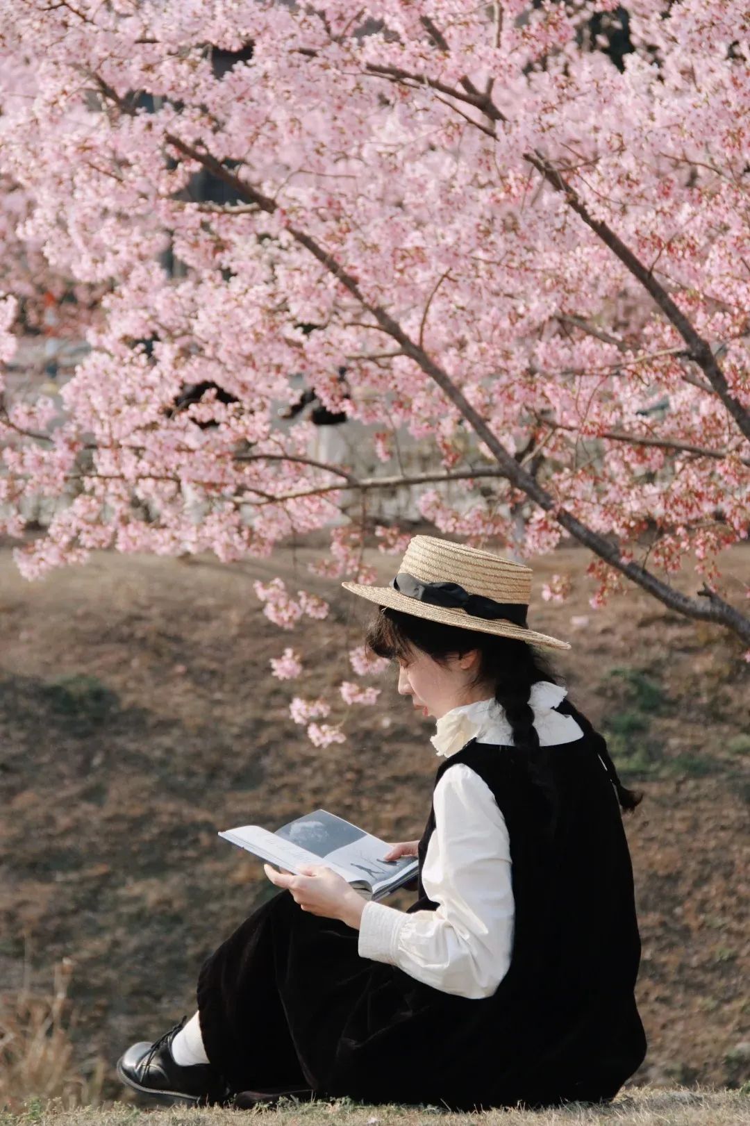 镜头下的春和景明|🌸_7_麓小浅_来自小红书网页版.jpg