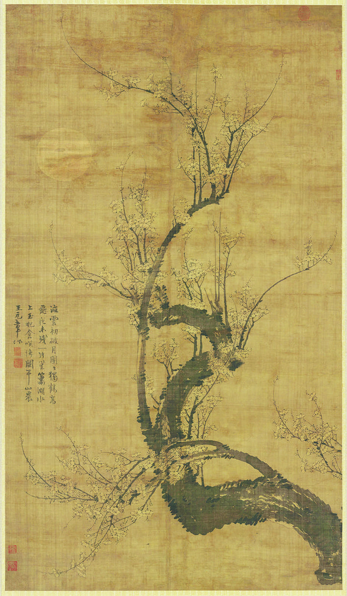 d9f8b56e-aafd-49eb-add8-2855593d4d41.jpg