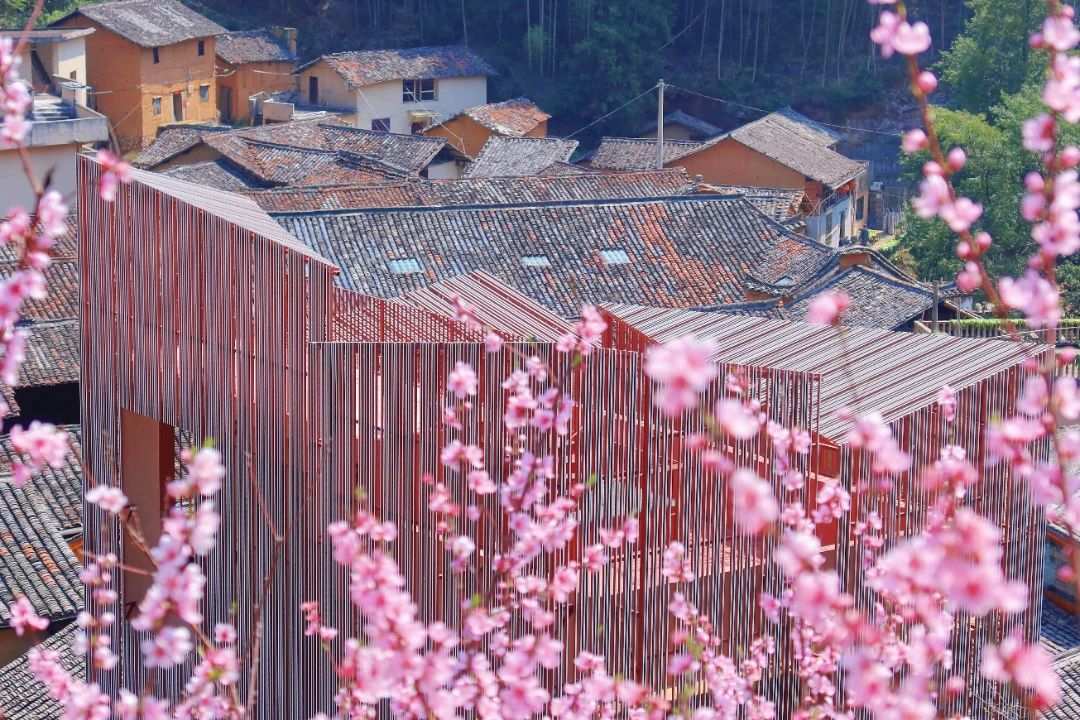 摄影:汤煜霞 (2).jpg