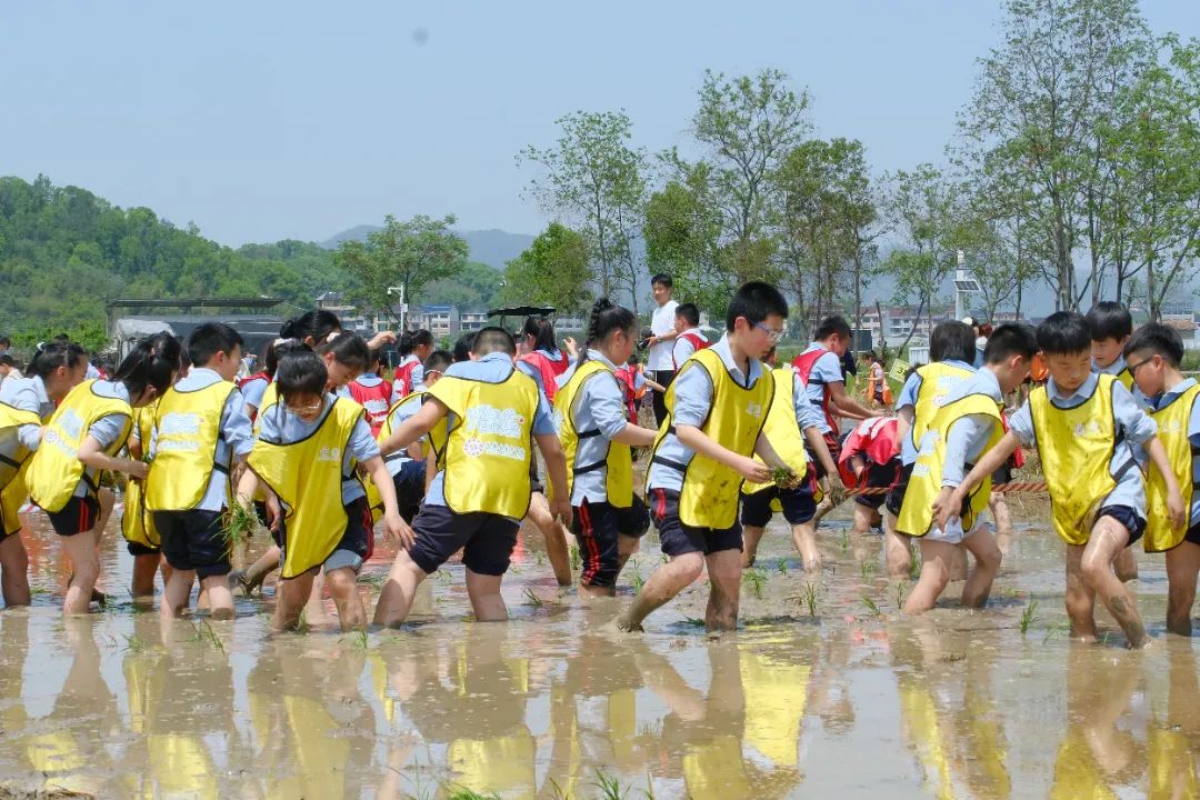DSCF5155.JPG