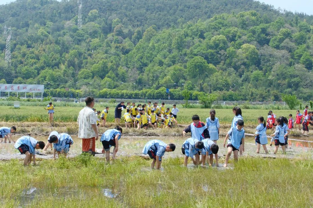 DSCF5144.JPG