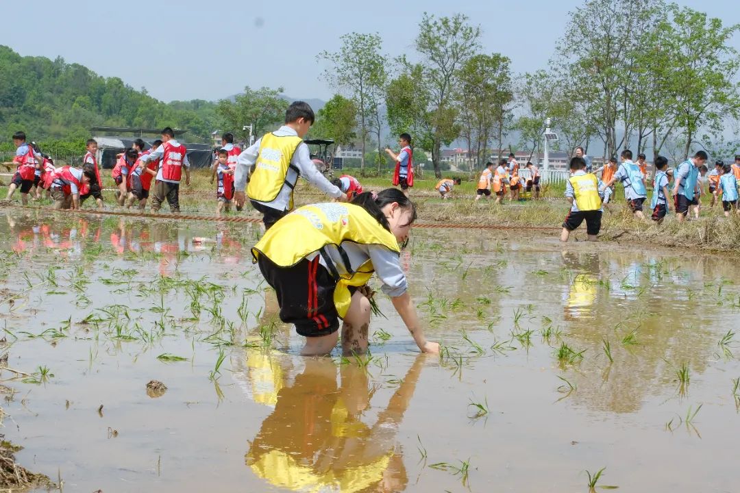 DSCF5245.JPG