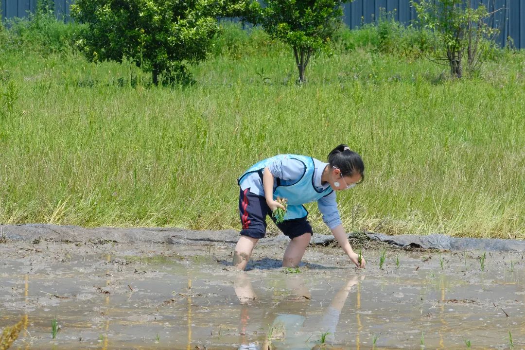 DSCF5181.JPG