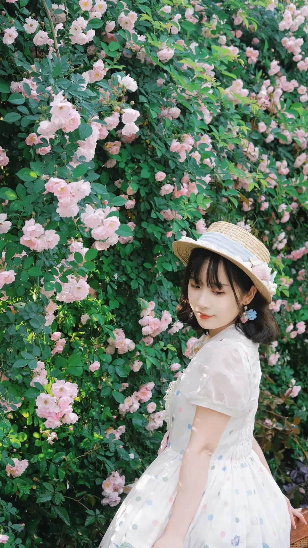霜晓.jpg
