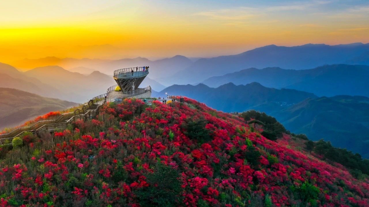 微信截图_20250506071501.jpg