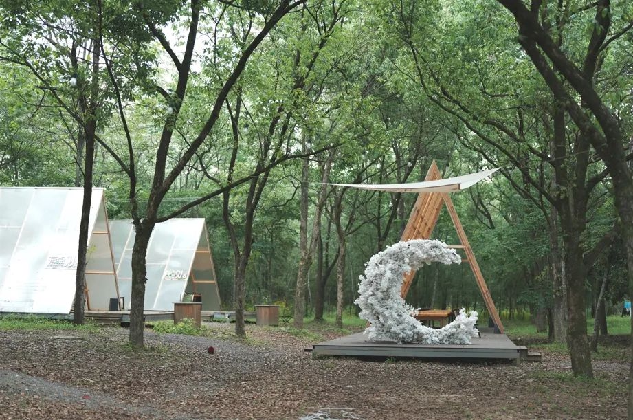 微信截图_20250519150127.png
