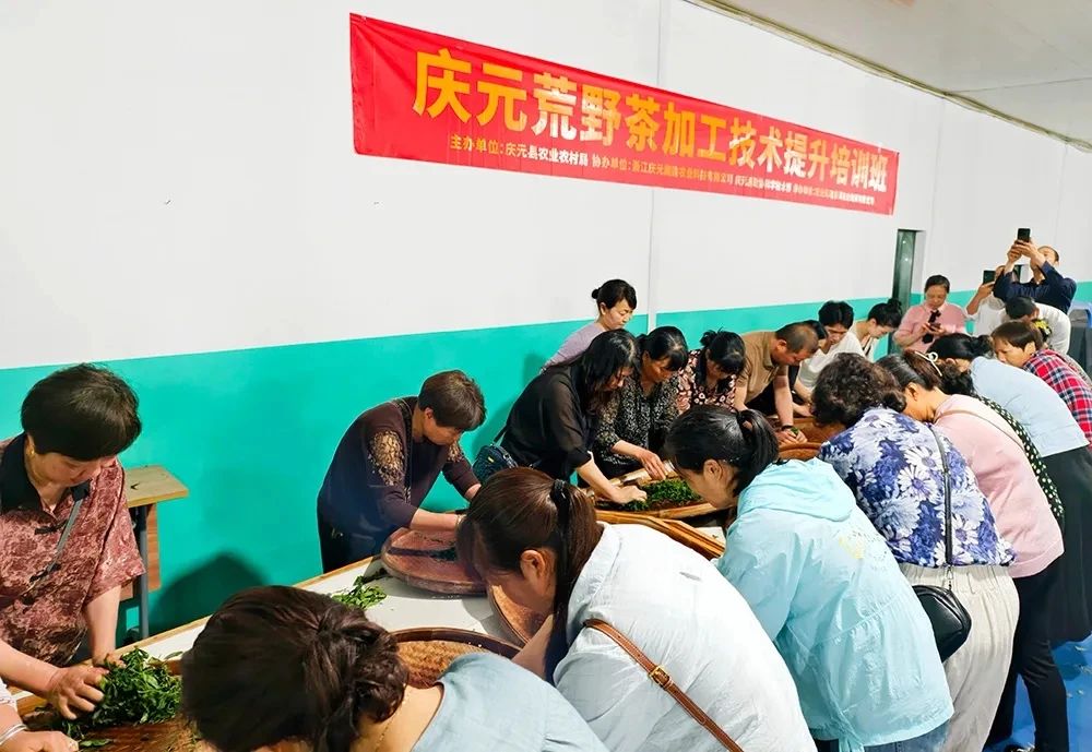微信图片_20250526080028.jpg