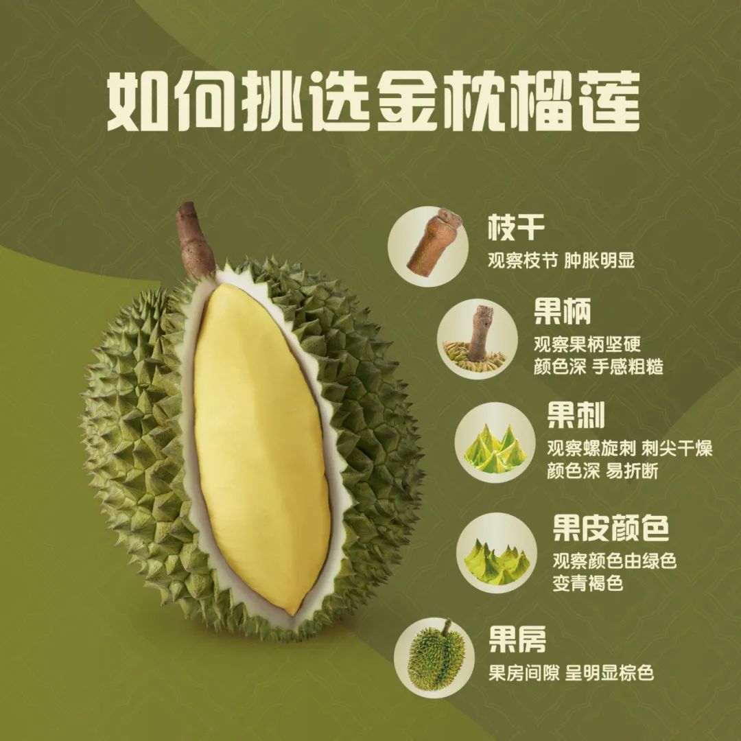 微信图片_20250524194743.jpg