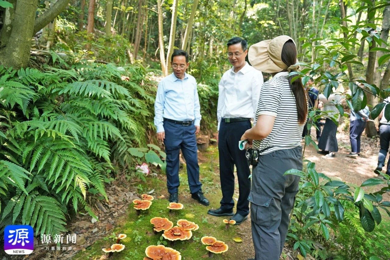 微信图片_20250529083103.jpg