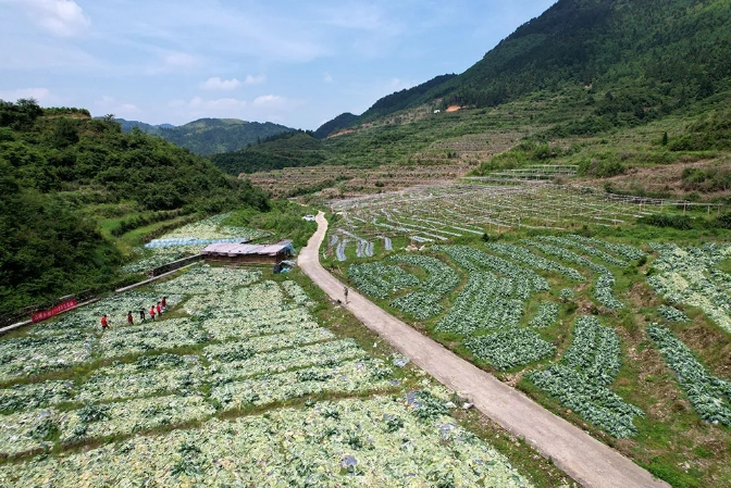 微信截图_20250612081833.jpg