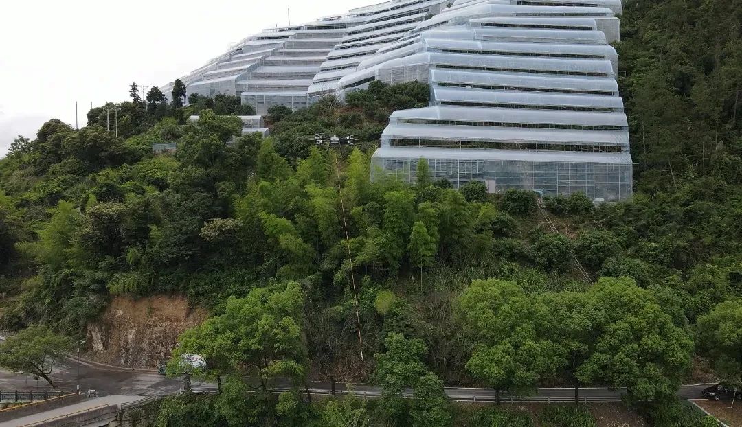 微信图片_20250617083049.jpg