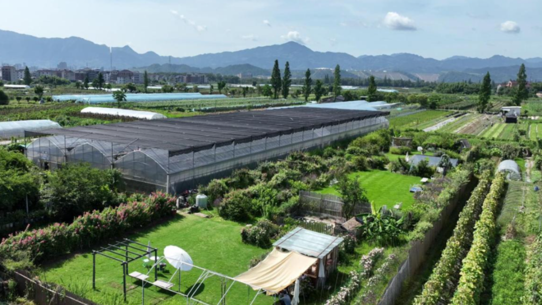 DJI_0350[00-00-23][20250620-112903854].jpg