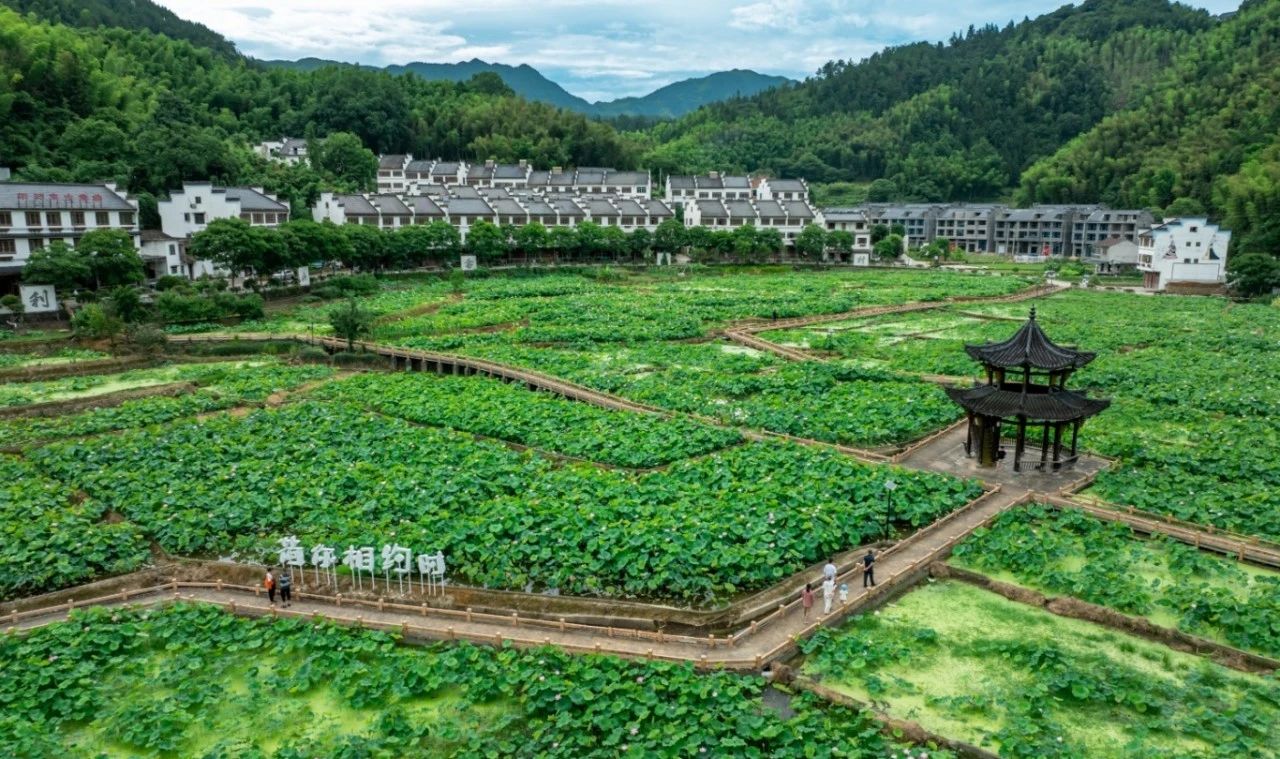 微信截图_20250625065241.jpg