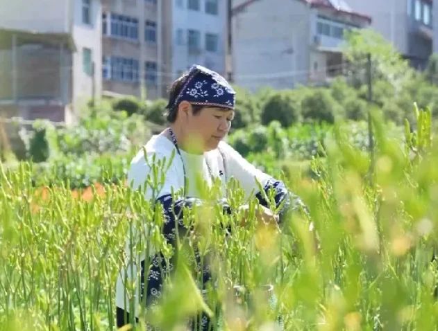 微信截图_20250627075330.jpg