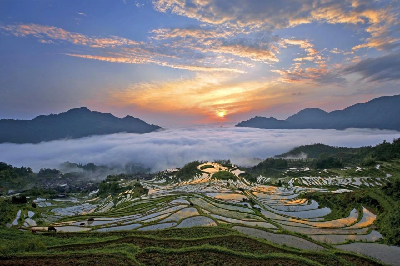 云和梯田.jpg