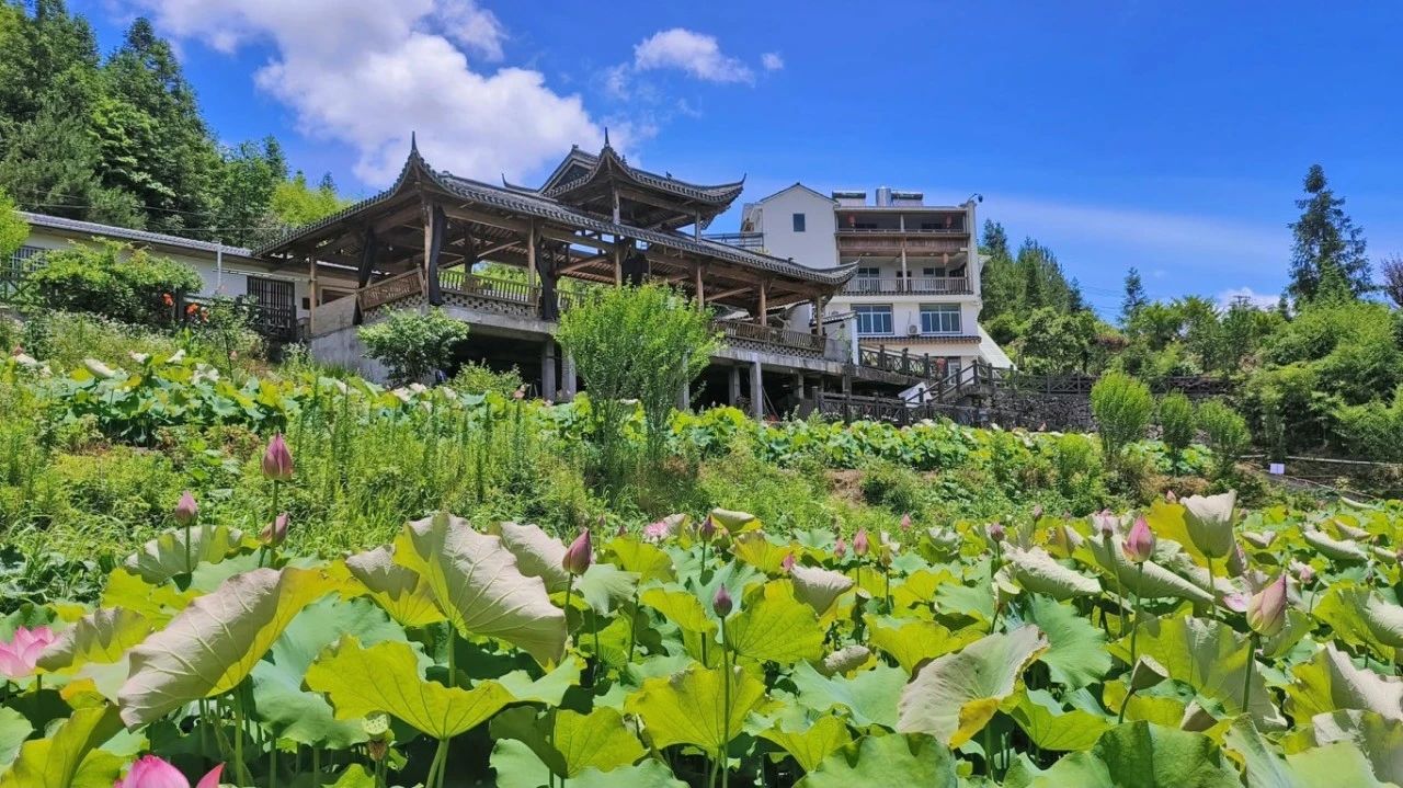 后垟村鸡鸣三县农庄.jpg