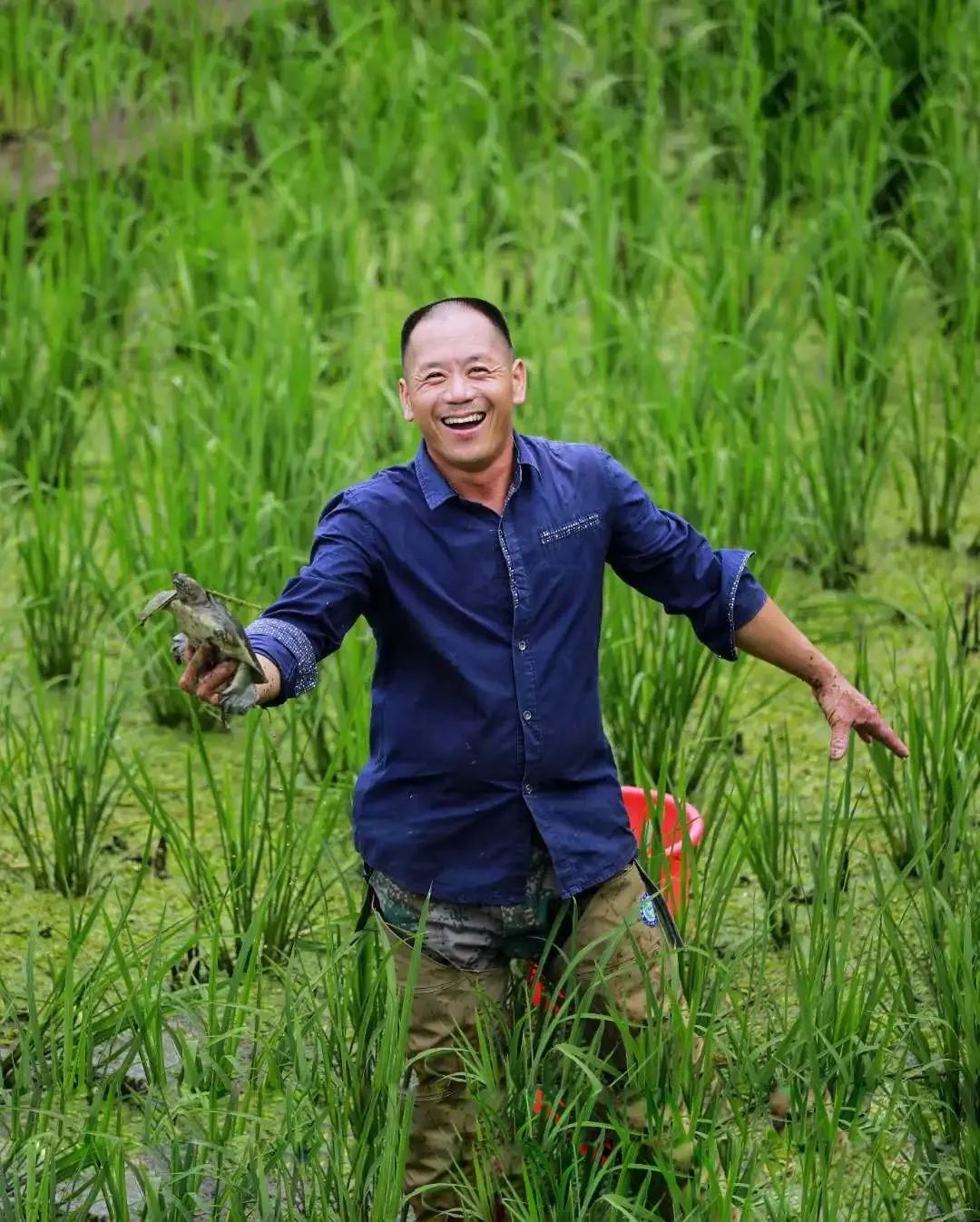 后垟村毛作兴.jpg