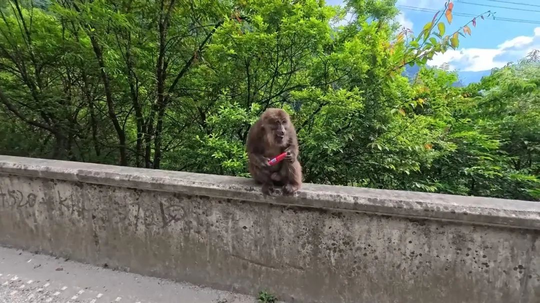 截图1.jpg