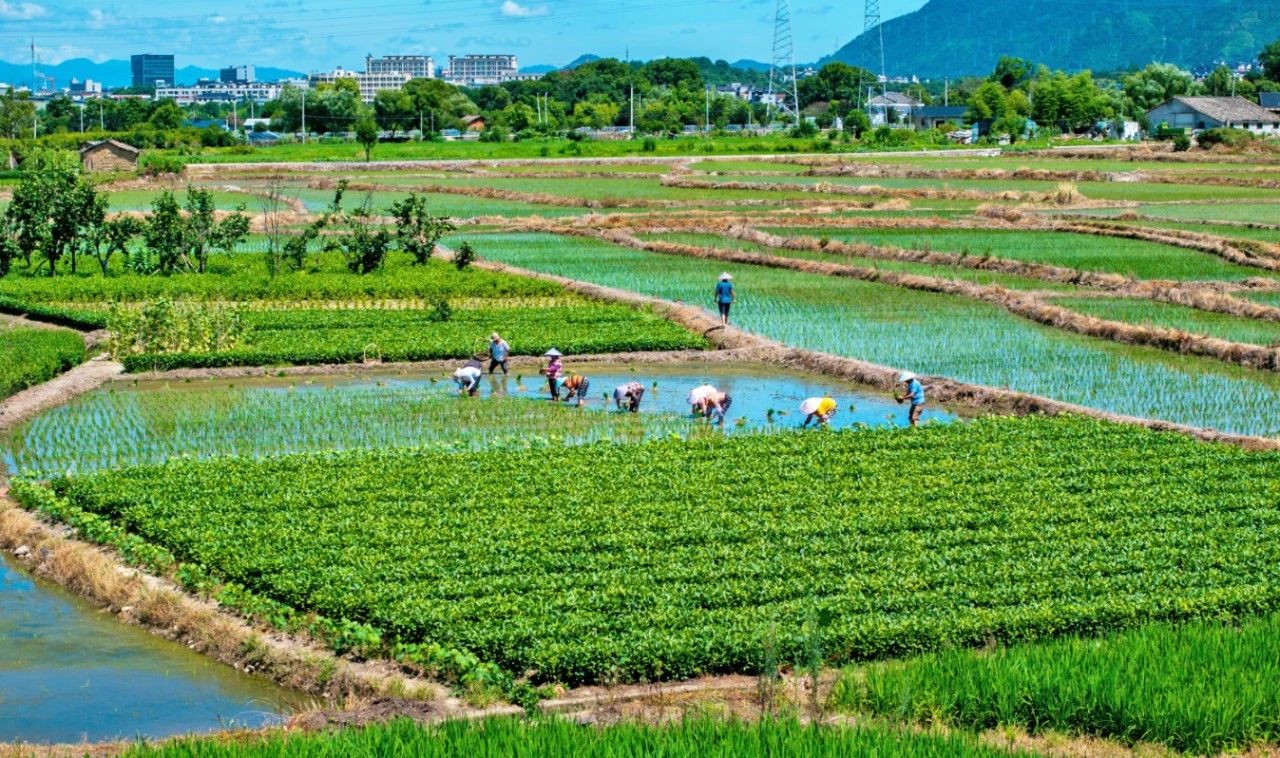 微信截图_20250708065149.jpg