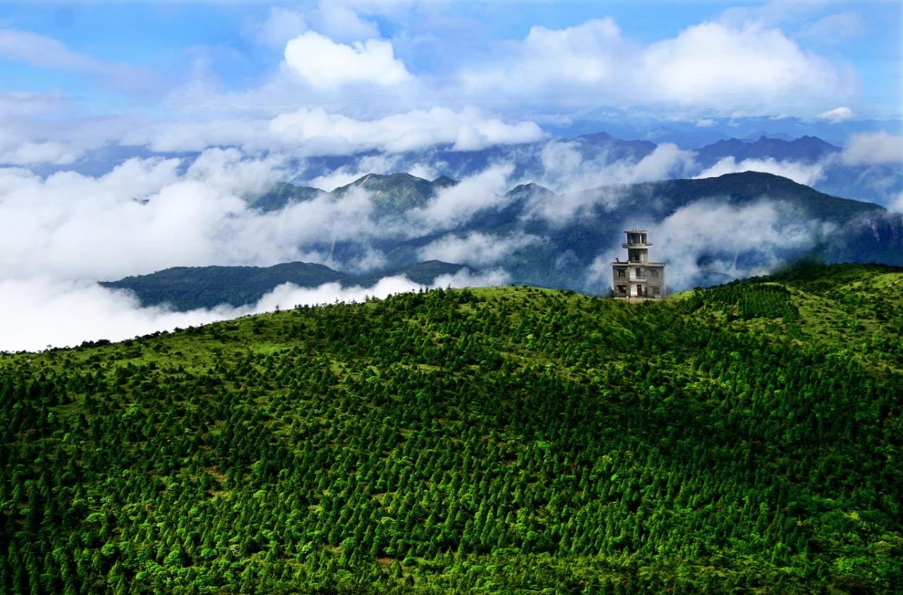 53)插图:百山祖风光-.jpg