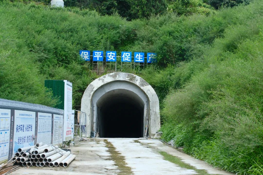 DSCF8173.JPG