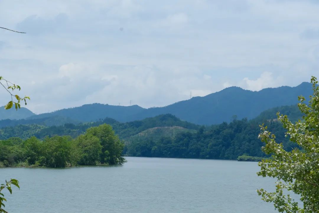 DSCF8188.JPG