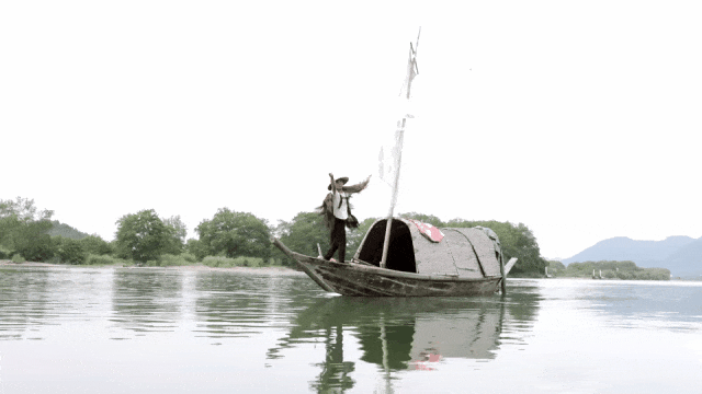 8F0A8971.gif