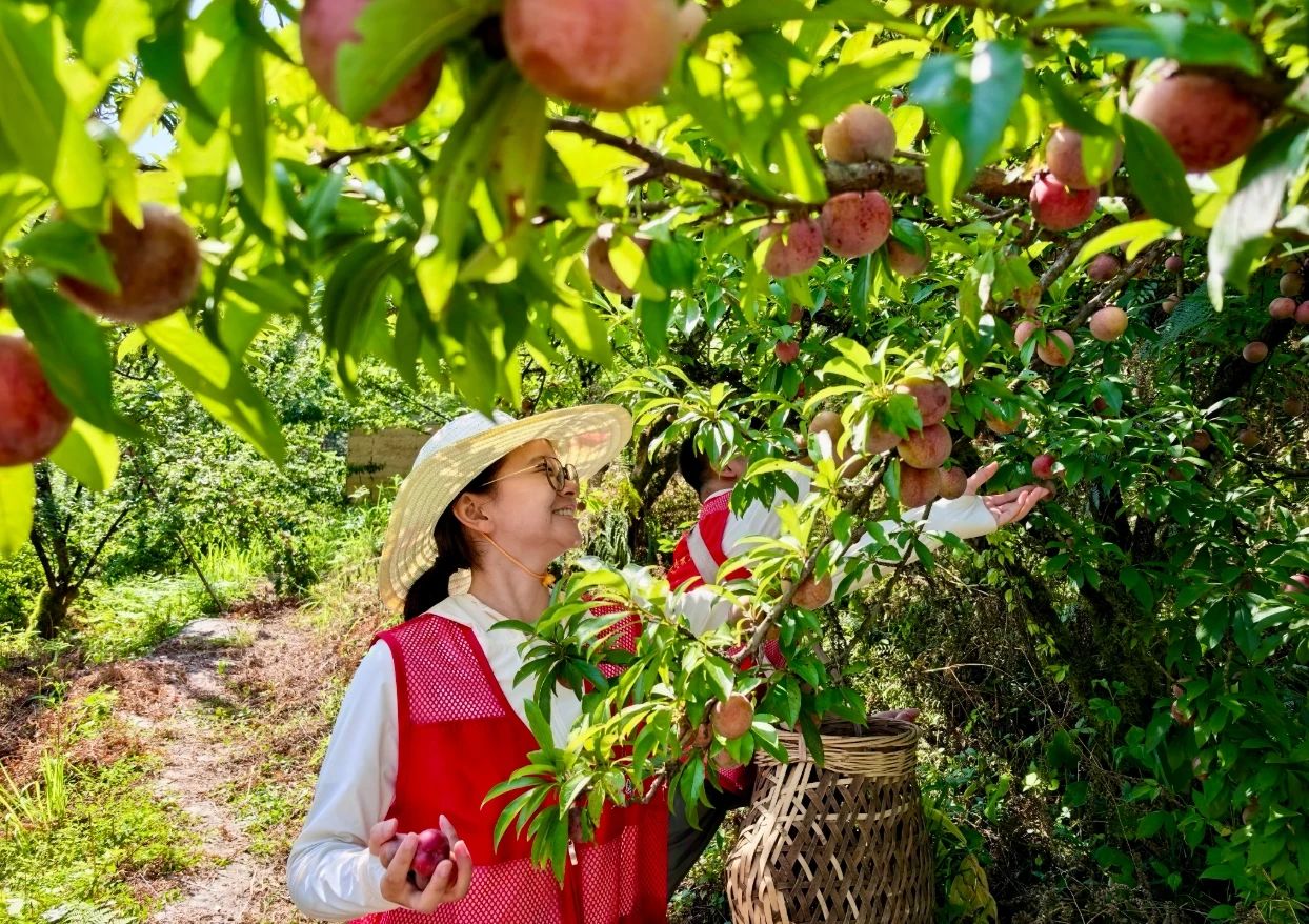 微信截图_20250729071327.jpg