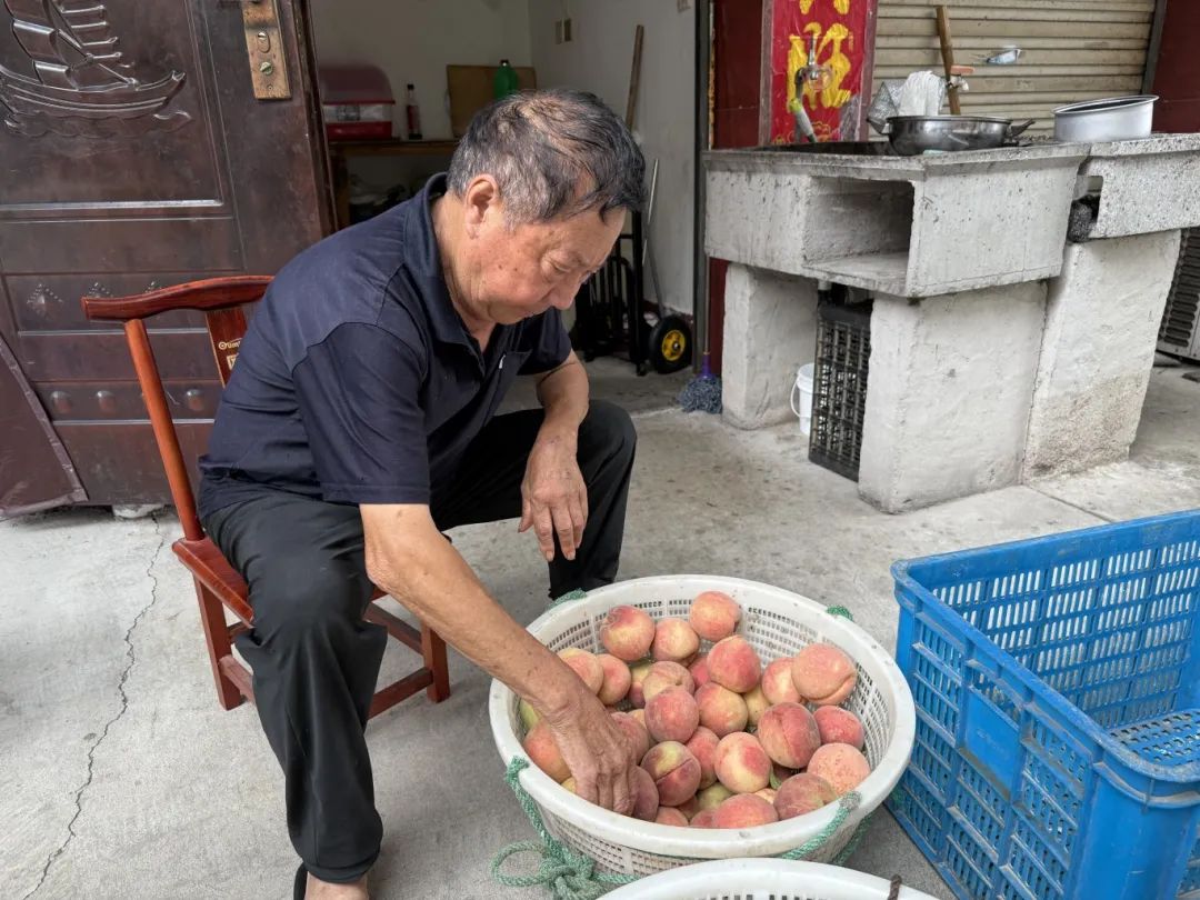 微信图片_20250729093113.jpg