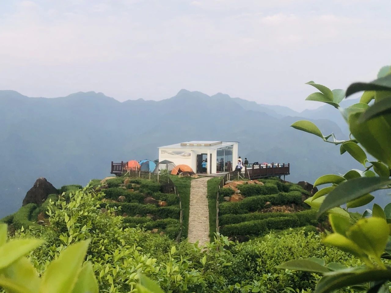 05 “一亩茶园”露营基地.jpg