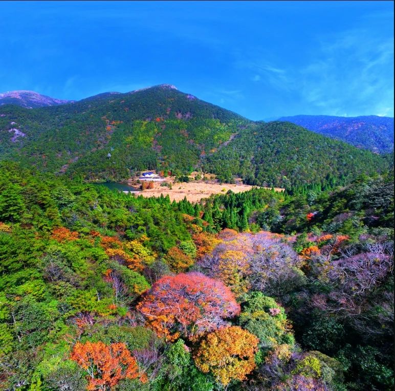百山祖.jpg