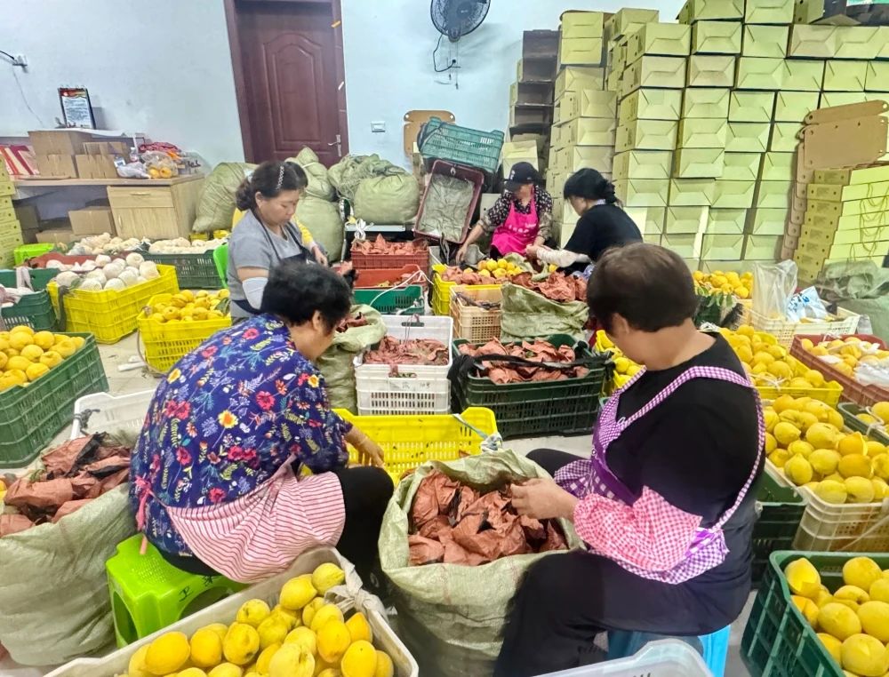 微信截图_20250807082818.jpg