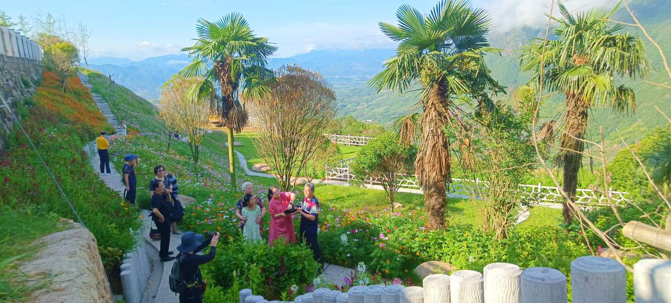 遂昌县金竹镇茶竹岭村 (2).jpg