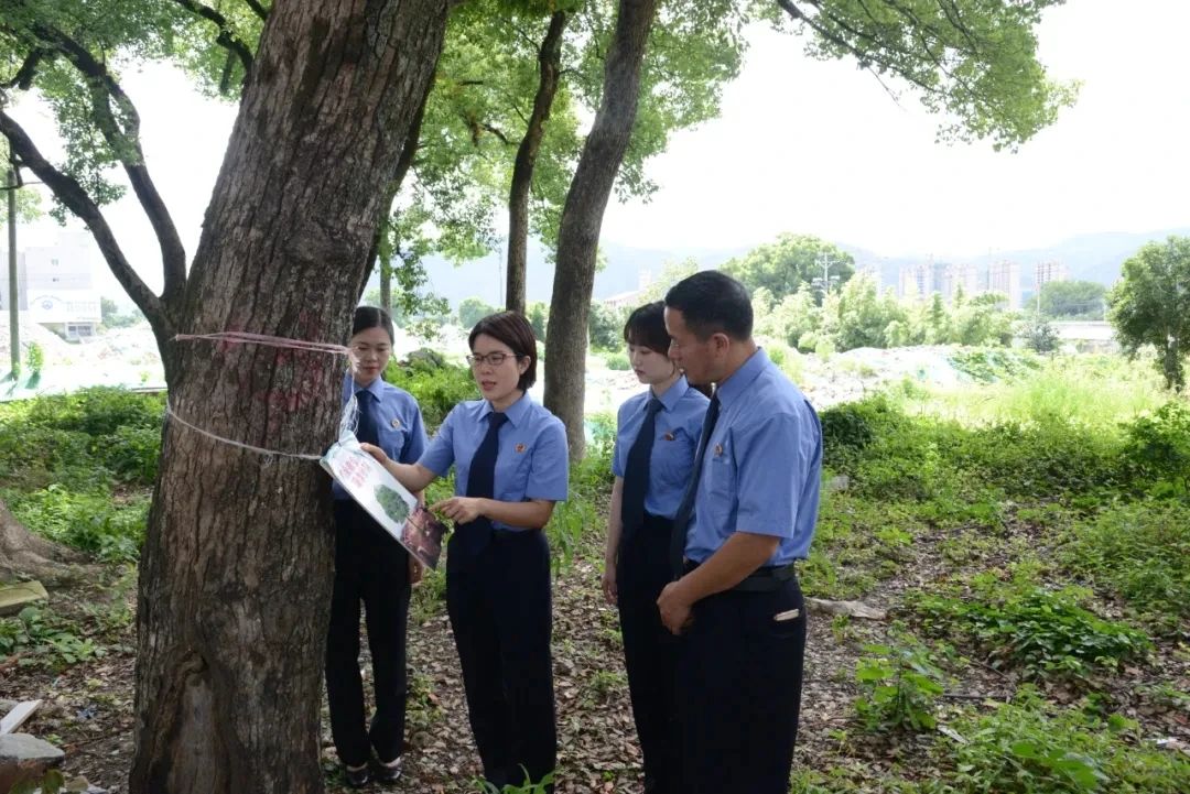 微信图片_2025-08-15_073621_849.jpg