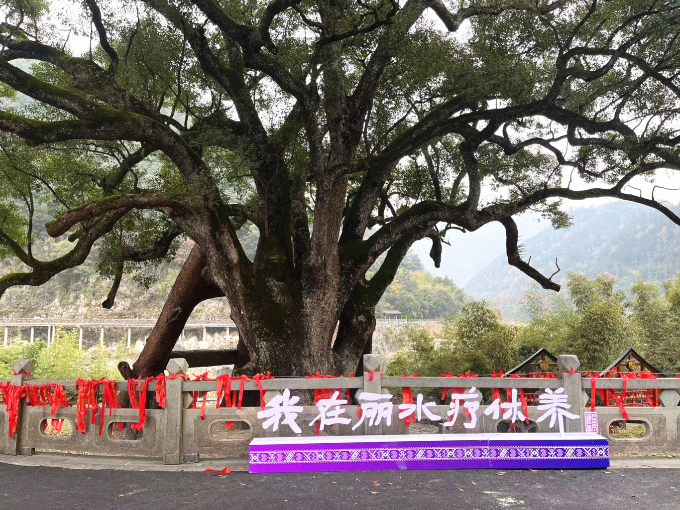 W020250813397634895786_副本.jpg