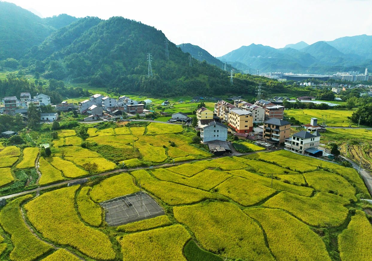 微信截图_20250819063442.jpg