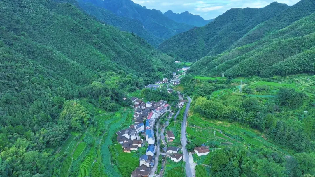 松阳新闻 安民乡.jpg