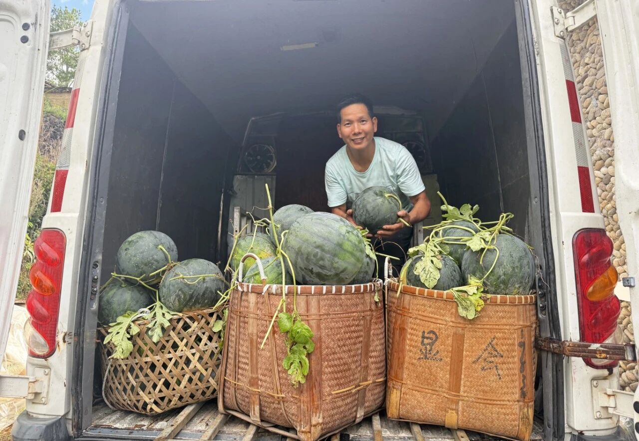 西瓜_副本.jpg