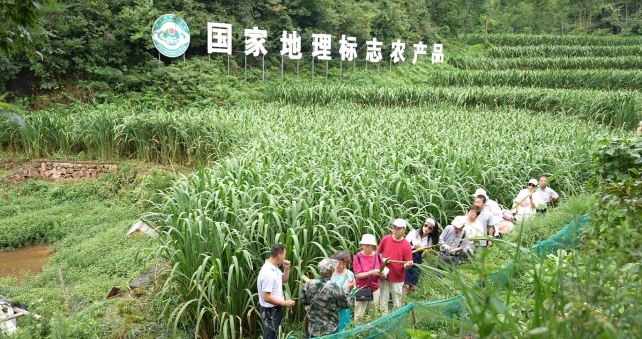 微信截图_20250909064107.jpg