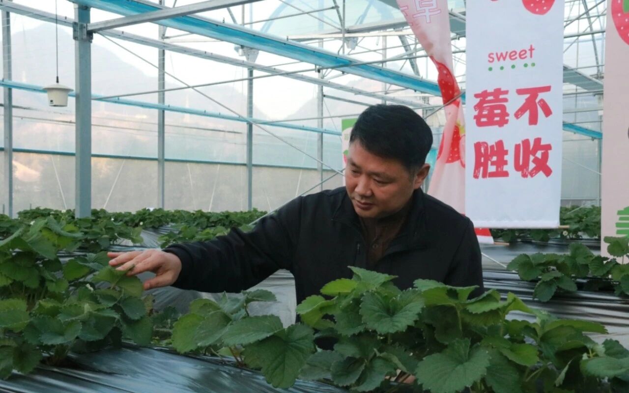 微信截图_20250909064036.jpg
