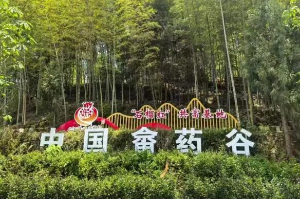 wechat_2025-09-10_074639_920.jpg