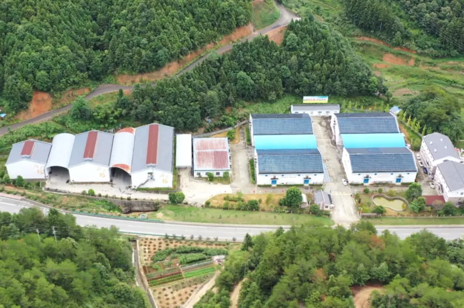 龙泉发布.jpg